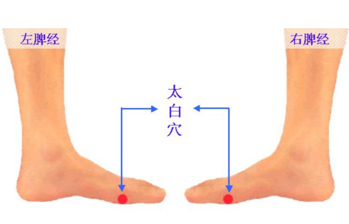 太白穴的功效與作用