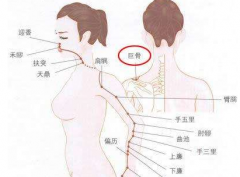 巨骨穴疼痛怎么回事呢？巨骨穴準(zhǔn)確位置示意圖