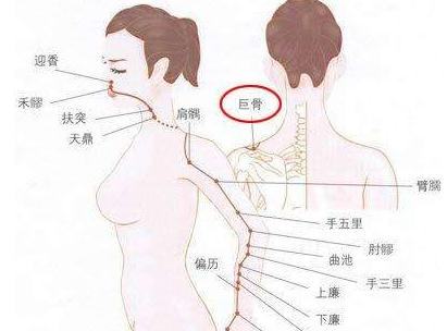 巨骨穴準(zhǔn)確位置示意圖