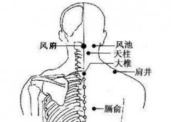 臑俞穴的功效與作用及其臑俞穴主治疾病介紹！