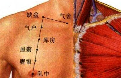 氣舍穴準(zhǔn)確位置