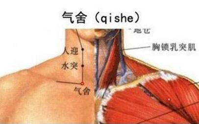氣舍穴準(zhǔn)確位置