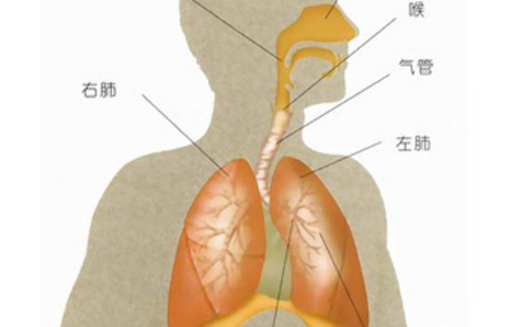 蜂窩肺綜合征的治療方法
