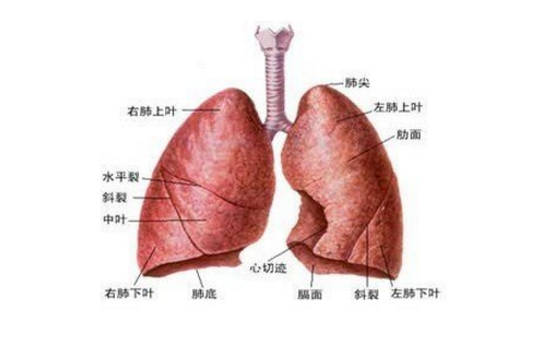 肺血管炎的預(yù)防