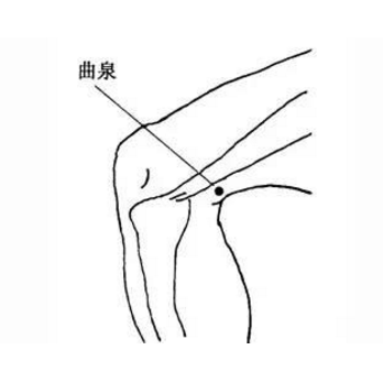 按摩曲泉穴可治肝腎陰虛，它的準確位置及其功效與作用有哪些？