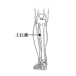 上巨虛穴疼痛是怎么回事？它的準確位置及其功效與作用有哪些？