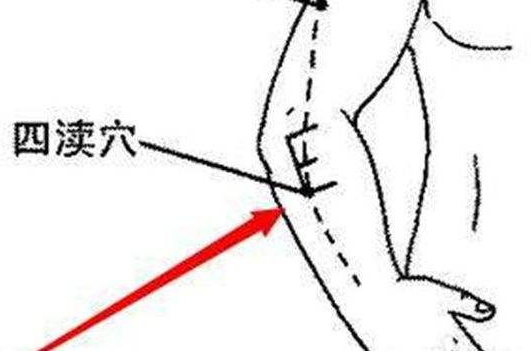 四瀆穴圖片