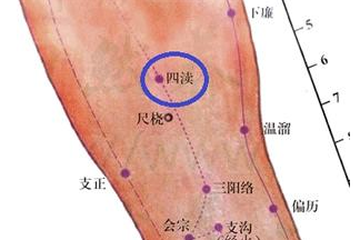 四瀆穴的示意圖