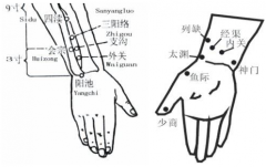 中醫教你按摩會宗穴治療耳鳴，但你知道會宗穴的準確位置嗎？