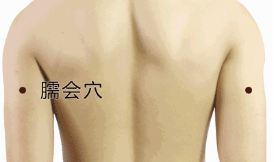 臑會穴準確位置