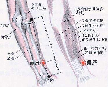 偏歷穴圖片