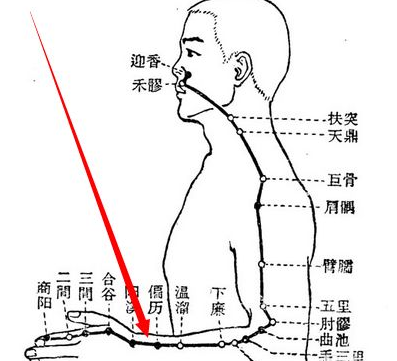 偏歷穴圖片