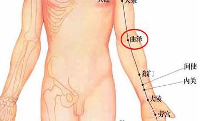 曲澤穴的功效與作用