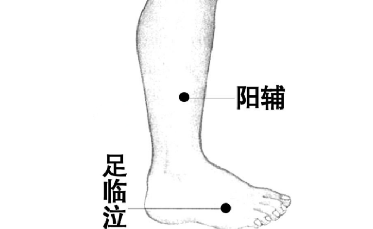 陽輔穴的功效與作用