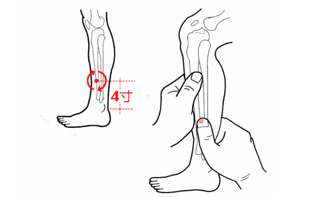 陽輔穴主治疾病有哪些