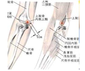 少海穴準確位置