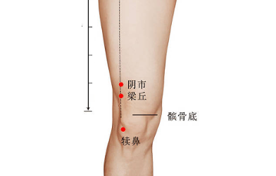 陰市穴主治疾病