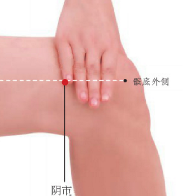 按摩陰市穴能治療糖尿病？它的準確位置及其功效與作用有哪些？