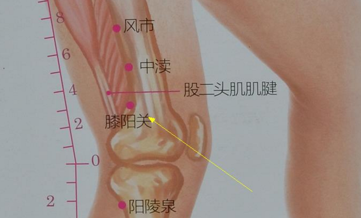 中瀆穴的取穴方法