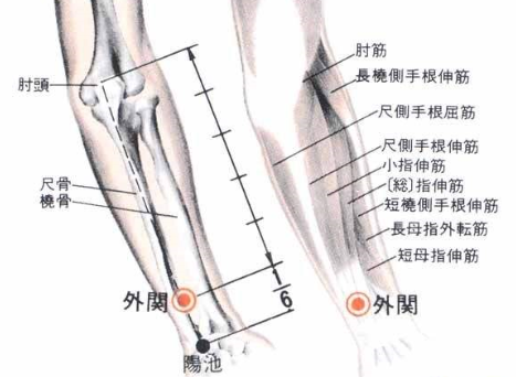外關穴的圖片