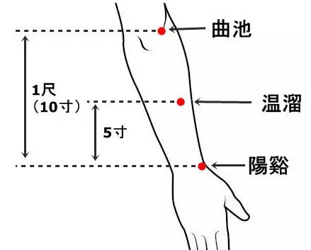 溫溜穴位位置