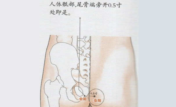 會陽穴取穴方法
