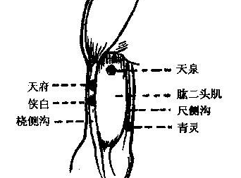 俠白穴的準(zhǔn)確位置怎么找？中醫(yī)按摩俠白穴的好處