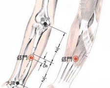 推拿郄門穴治療心絞痛，郄門穴的準確位置及其功效與作用有哪些？