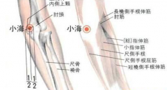 正確按摩小海穴可有效緩解貧血，小海穴準確位置怎么找？