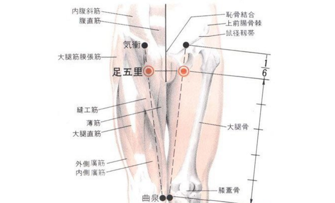 按摩足五里穴的好處