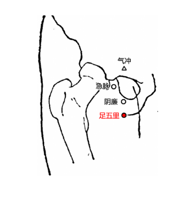 足五里穴的準確位置及其按摩的功效與作用有哪些？
