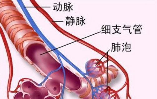 肺大泡的治療方法