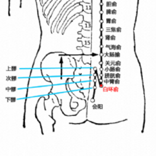 白環俞穴的準確位置在哪？它的取穴方法及其功效與作用有哪些？