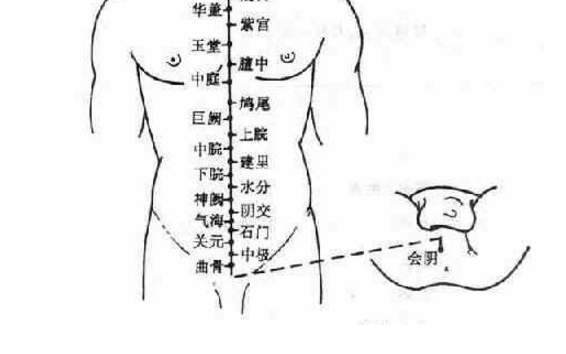 會陰穴主治疾病