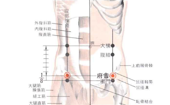 府舍穴的功效與作用