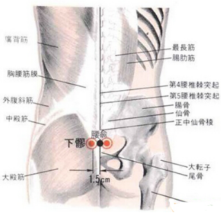 按摩下髎穴疼痛是怎么回事？它的準確位置及功效與作用有哪些？