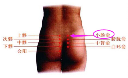 小腸俞穴的按摩方法