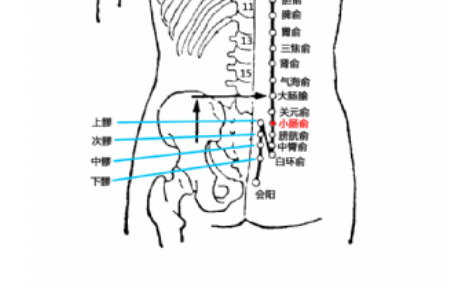 小腸俞穴的準確位置及按摩小腸俞穴的功效與作用有哪些？