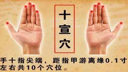 十宣穴的圖片