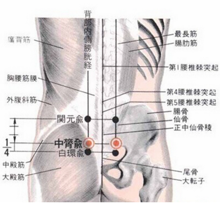 按摩中膂俞穴可緩解腰肌