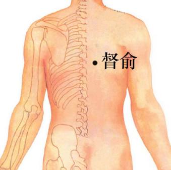 督俞穴的準確位置在哪？按摩督俞穴的功效與作用有哪些？