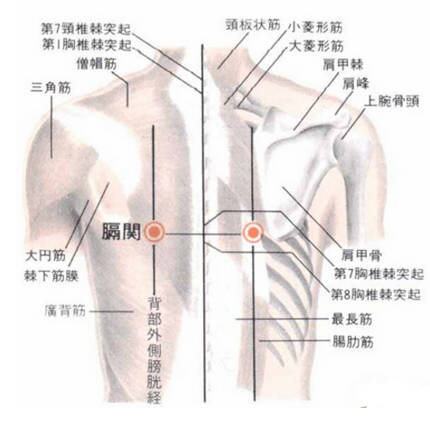 膈關(guān)穴疼痛怎么回事？膈