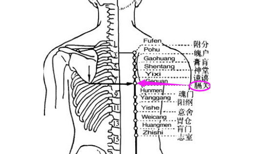 膈關穴位置