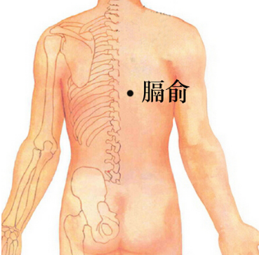 膈俞穴的準確位置在哪？按摩膈俞穴的功效與作用有哪些？