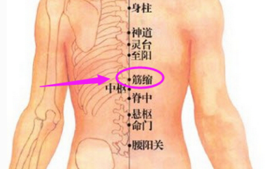 筋縮穴穴位配伍