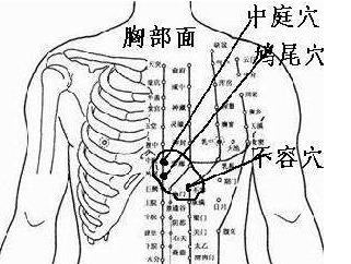 不容穴的圖片