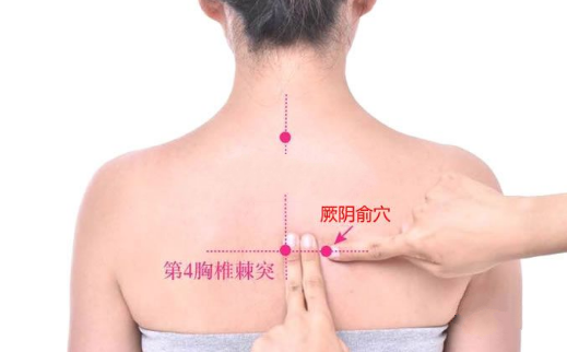 厥陰俞穴主治疾病