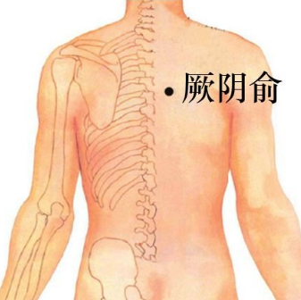 厥陰俞穴的準確位置在哪？按摩厥陰俞穴的作用及配伍應用方法有哪些？