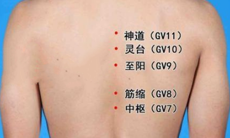 靈臺穴穴位配伍
