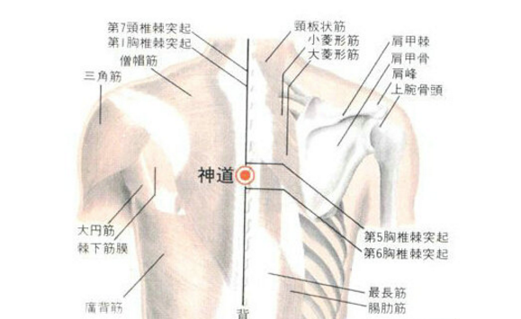 神道穴圖片